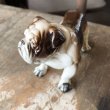 画像7: Vintage Ceramic Bulldog (B866)  (7)