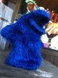 画像2: 70s Vintage Sesame Street Cookie Monster Hand Puppet (R009)  (2)