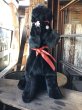 画像1: Vintage Giant Black Standing Poodle Plush Stuffed Toy Doll (R017)  (1)