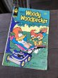 画像1: 80s Vintage WHITMAN Comic Woody Woodpecker (R108)  (1)