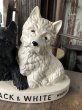 画像11: Black & White Whisky Terrier Dogs Advertising Display Figurine (R137) (11)