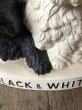 画像7: Black & White Whisky Terrier Dogs Advertising Display Figurine (R137) (7)