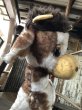 画像9: Vintage Cow Plush Doll (R189)  (9)